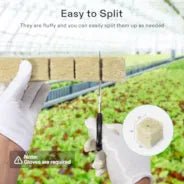 Vivosun 1.6" Rockwool Grow Cubes, 4 Sheets of 112 Plugs - Image 4