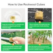 Vivosun 1" Rockwool Grow Cubes, 4 Sheets of 200 Plugs - Image 5
