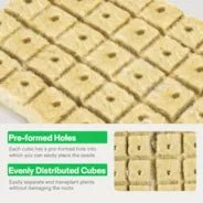 Vivosun 1" Rockwool Grow Cubes, 4 Sheets of 200 Plugs - Image 6