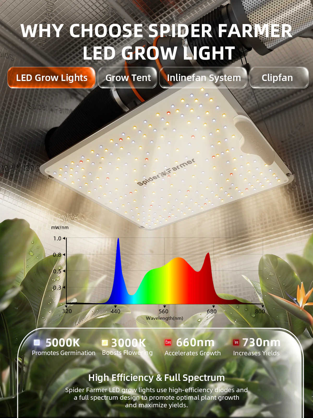 Spider Farmer® 2’x2′ Complete Grow Tent Kit丨SF1000 Full Spectrum LED Grow Light丨6” Clip Fan丨4” Ventilation System with GGS Controller | Free Sprayer - Image 4