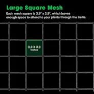 Vivosun 3 x 3Ft. Elastic Trellis Netting with 4 Hooks - Image 3