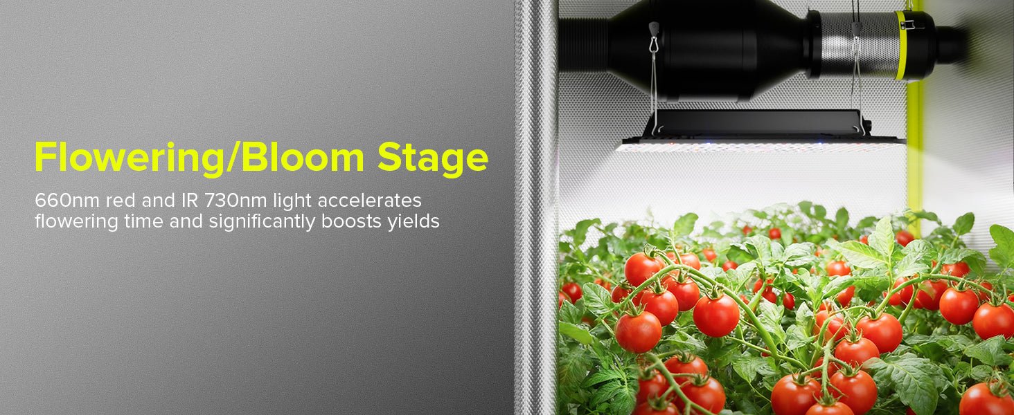 Elufah UAP1200 120 Watt LED Grow Light 2x2 ft - Image 17