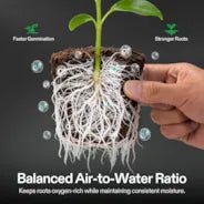 Vivosun FlexFeed DWC Hydroponices System Seed Rooter, 4-Pack Seed Starter Plugs, Compatible with VGrow DWC System - Image 2