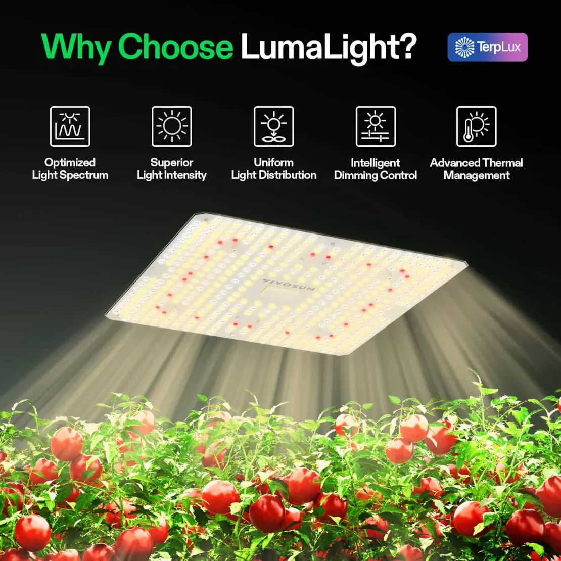 Vivosun LumaLight LED Grow Light, Full Spectrum Plant Light, 150W Smart Dimmable & High PPFD for Indoor Plants Seedling Vegetables Bloom - Image 2