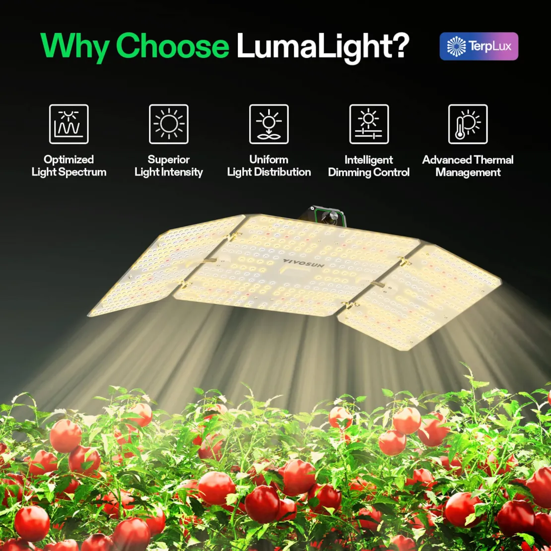 Vivosun LumaLight LED Grow Light, Full Spectrum Plant Light, 200W Smart Dimmable & High PPFD for Indoor Plants Seedling Vegetables Bloom - Image 2