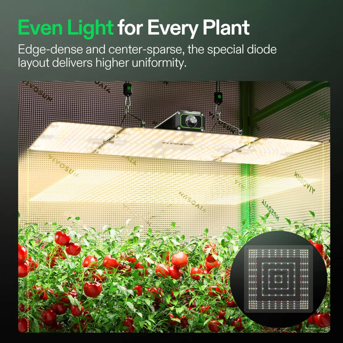 Vivosun LumaLight LED Grow Light, Full Spectrum Plant Light, 200W Smart Dimmable & High PPFD for Indoor Plants Seedling Vegetables Bloom - Image 5