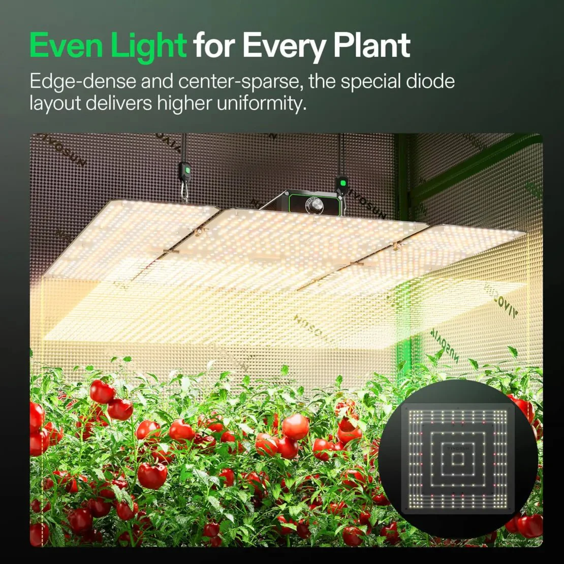 Vivosun LumaLight LED Grow Light, Full Spectrum Plant Light, 400W Smart Dimmable & High PPFD for Indoor Plants Seedling Vegetables Bloom - Image 5