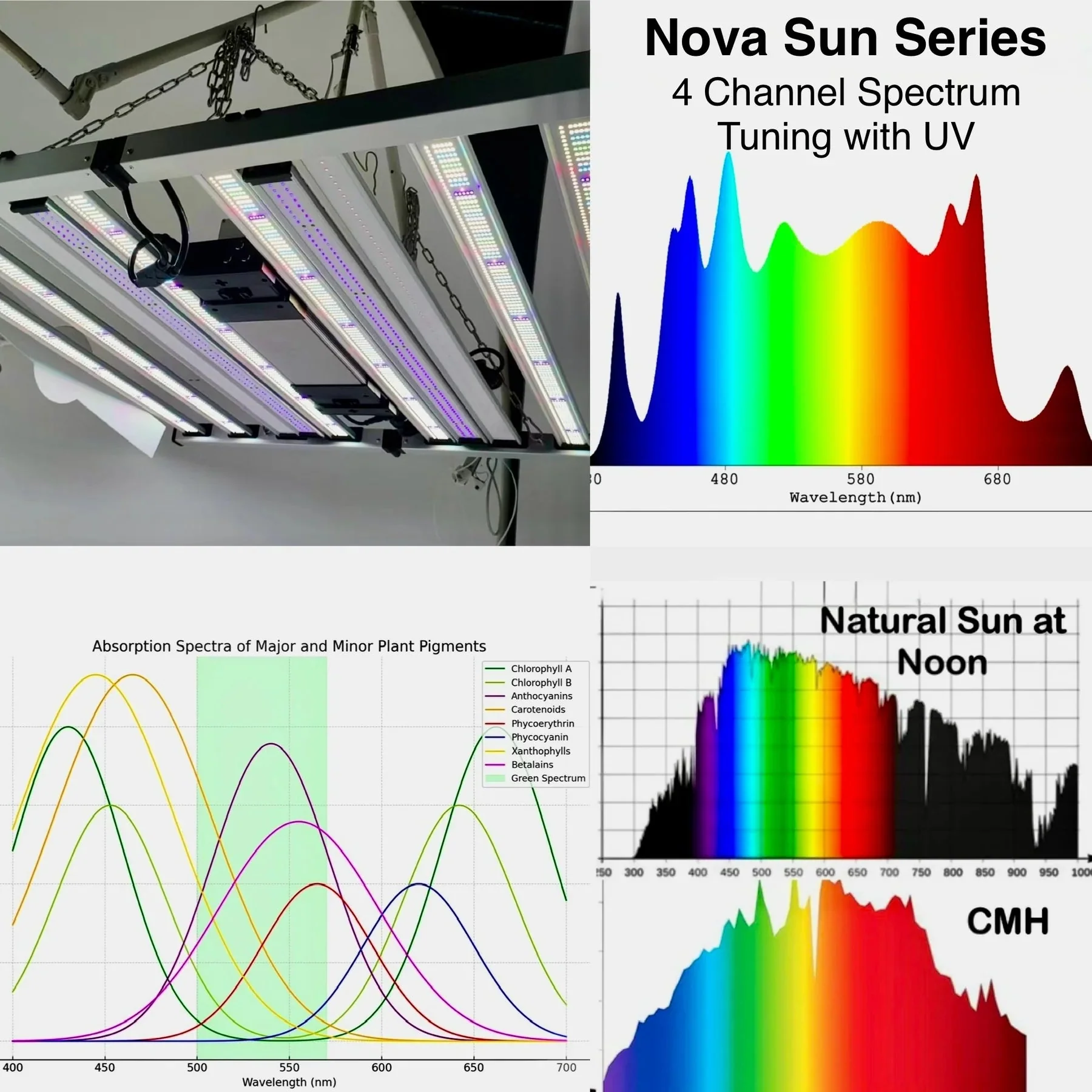 Mammoth Lighting Nova Sun Series - 4 Bar 3’x3’ Nova Sun Series with Dual Red - 330w - Image 4