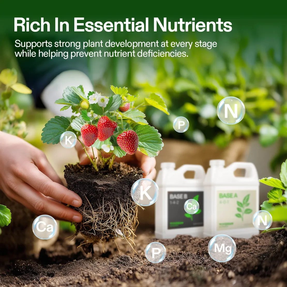 Nutrients Base A & B Bundle, Liquid Fertilizer Supports Vegetative and Flowering Stage - Image 10