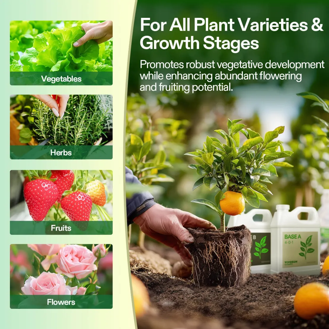 Nutrients Base A & B Bundle, Liquid Fertilizer Supports Vegetative and Flowering Stage - Image 14