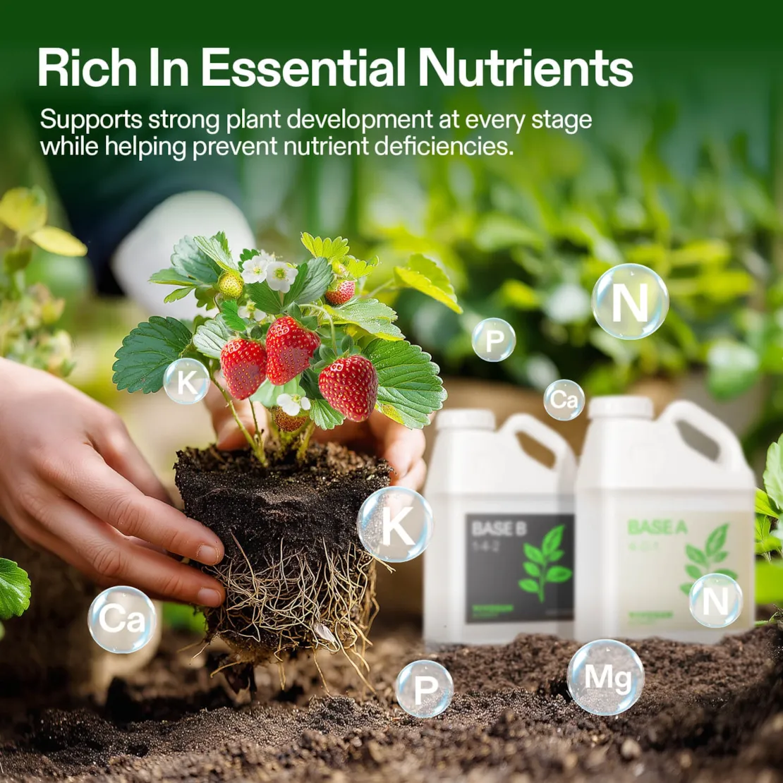 Nutrients Base A & B Bundle, Liquid Fertilizer Supports Vegetative and Flowering Stage - Image 18