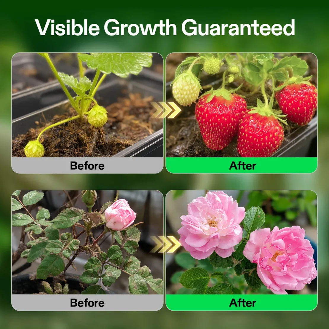 Nutrients Base A & B Bundle, Liquid Fertilizer Supports Vegetative and Flowering Stage - Image 20