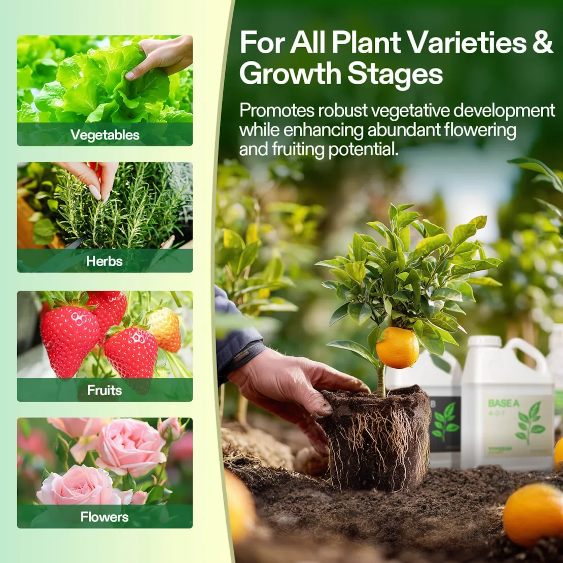 Nutrients Base A & B Bundle, Liquid Fertilizer Supports Vegetative and Flowering Stage - Image 22