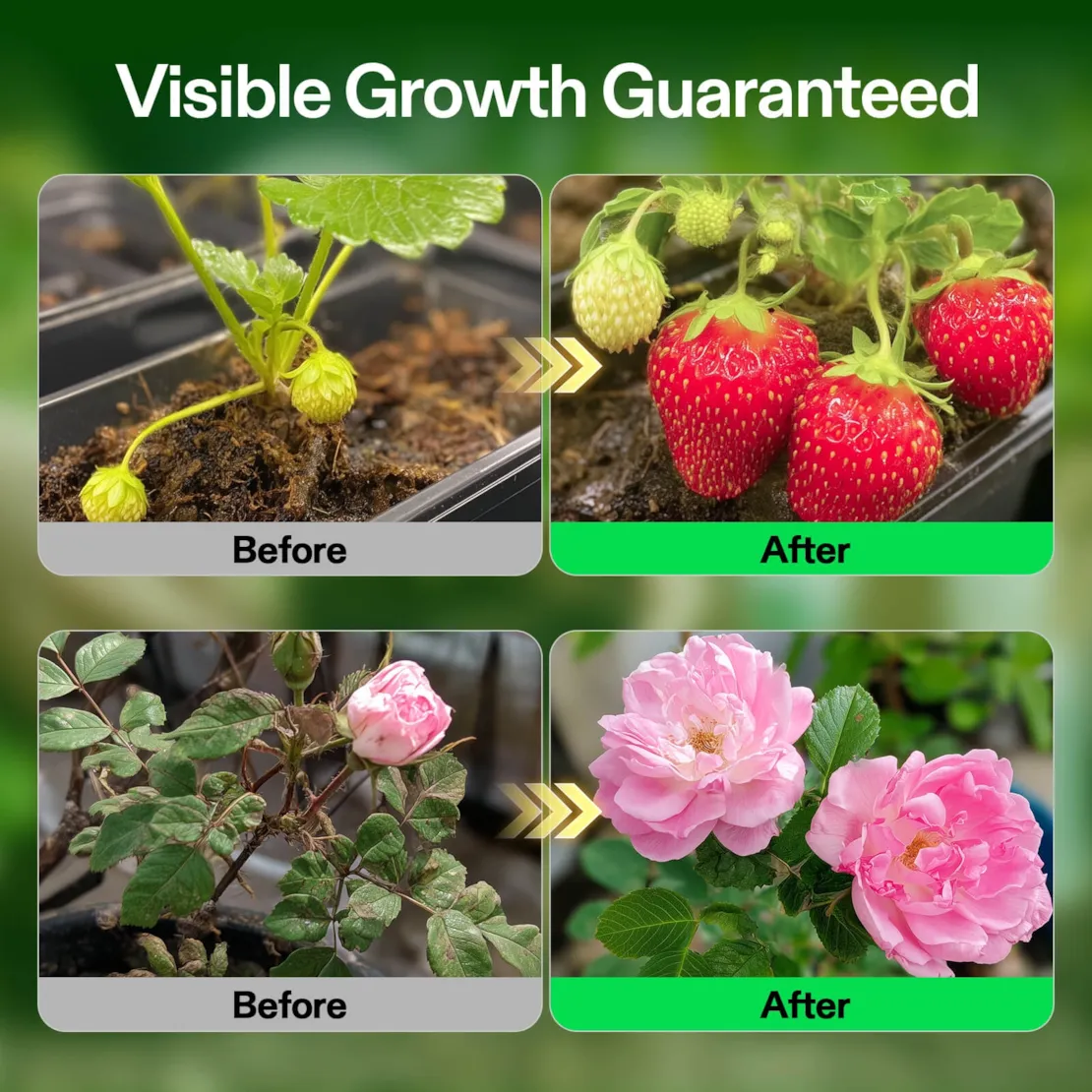 Nutrients Base A & B Bundle, Liquid Fertilizer Supports Vegetative and Flowering Stage - Image 4