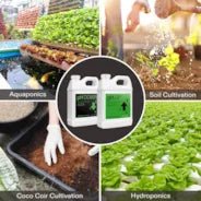 Vivosun pH Up & pH Down Kit, Liquid Fertilizer for All Plants and All Growing Systems, 1 Quart Each - Image 6