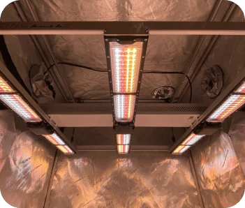 Scynce LED Raging Kush II (120°) 650 Watt Grow Light (On SALE until July 12) - Image 4
