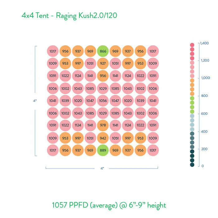 Scynce LED Raging Kush II (120°) 650 Watt Grow Light (On SALE until July 12) - Image 6