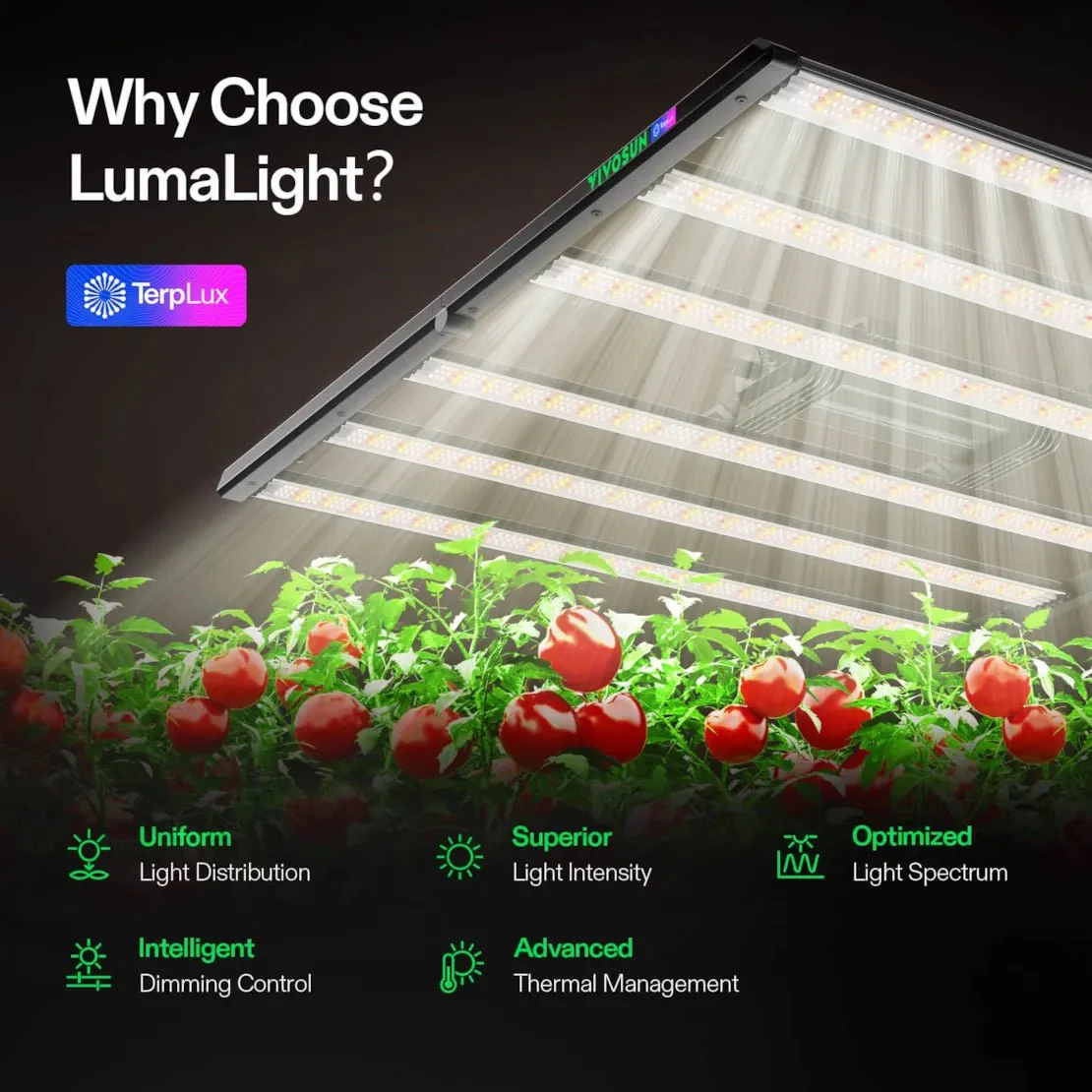 Vivosun Smart Grow Tent Kit Pro 4x8, 8-Plant Complete System, with WiFi E42A+ Controller, 2x 500W LumaLight LED Grow Light, and 8-inch AeroZesh T8 Ventilation Combo - Image 4
