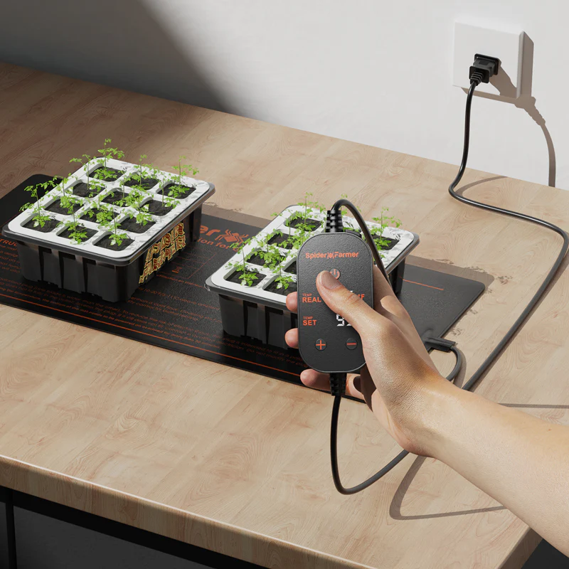 Spider Farmer® 48”X20.75” Seedling Heat Mat and Digital Thermostat for Seed Starting Propagation and Increase Germination - Image 3