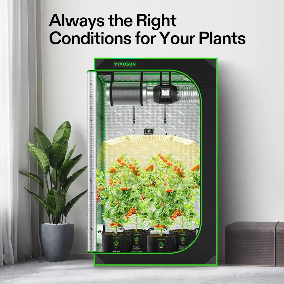 Vivosun Starter Grow Tent Kit, 4 × 4ft 4-Plant System, WiFi-Controlled Grow System with Full Spectrum LED Grow Light, Automatic Ventilation, GrowHub Outlet A22 with Temperature and Humidity Sensor - Image 7